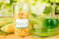 Higher Brixham biofuel availability