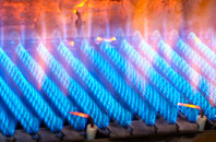 Higher Brixham gas fired boilers